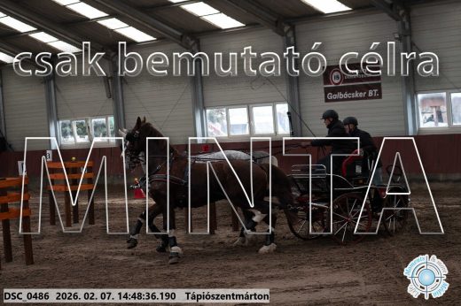 Mintakép 20260207-302