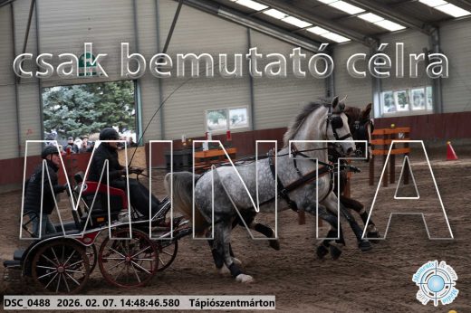 Mintakép 20260207-303