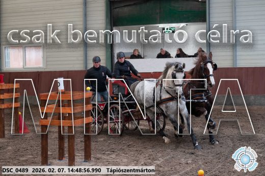 Mintakép 20260207-304
