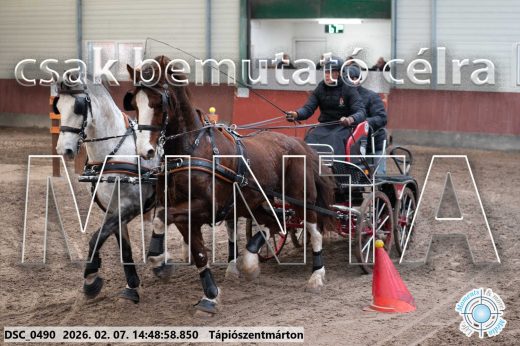 Mintakép 20260207-305