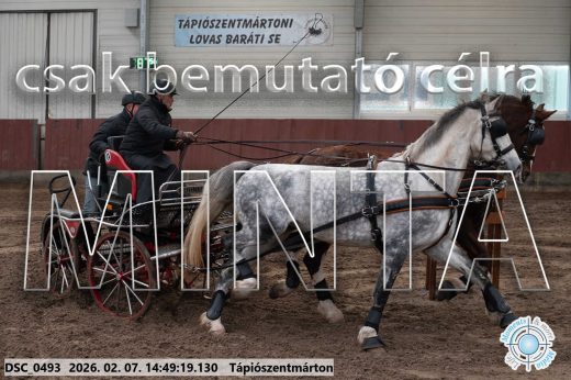 Mintakép 20260207-306