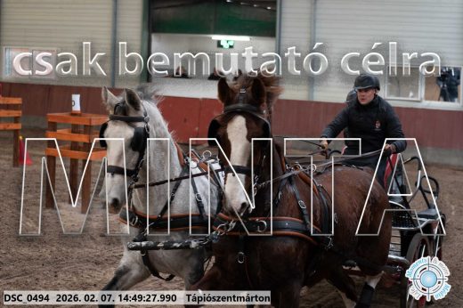 Mintakép 20260207-307