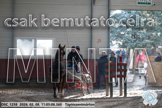 Mintakép 20260208-392
