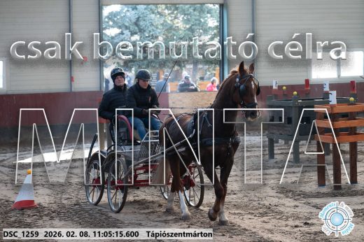 Mintakép 20260208-393