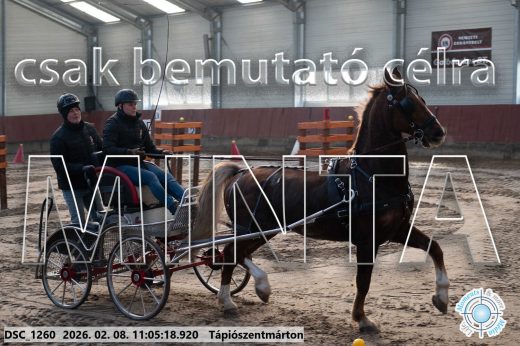 Mintakép 20260208-394