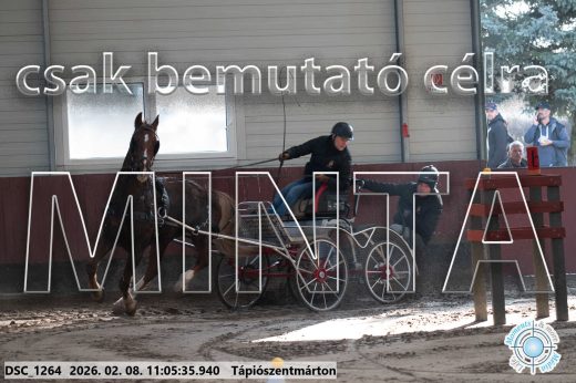 Mintakép 20260208-396