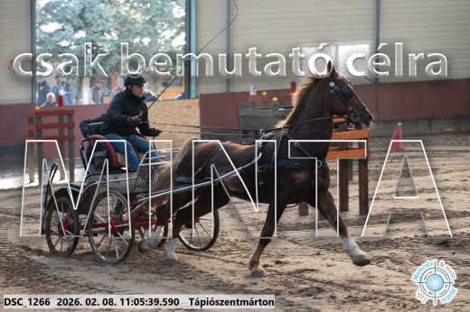 Mintakép 20260208-398