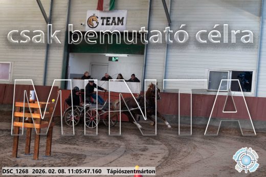 Mintakép 20260208-399