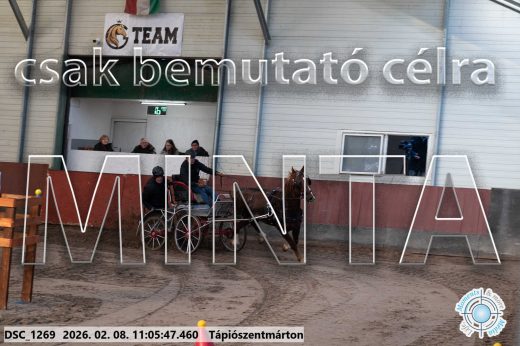 Mintakép 20260208-400