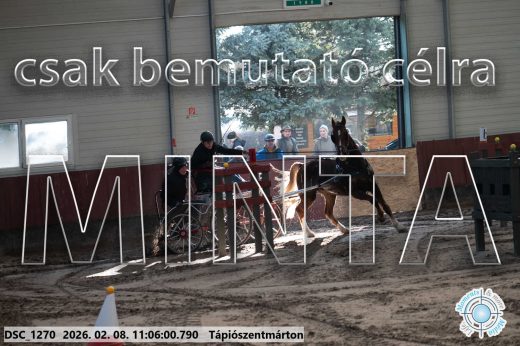 Mintakép 20260208-401