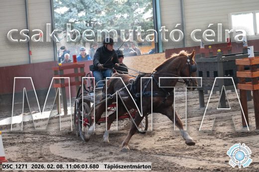 Mintakép 20260208-402