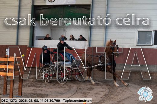 Mintakép 20260208-403