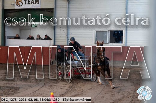 Mintakép 20260208-404