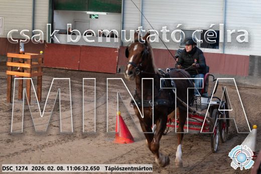 Mintakép 20260208-405