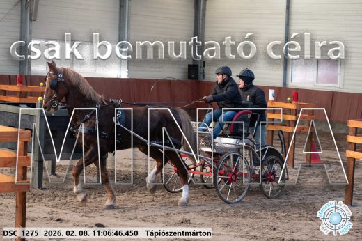 Mintakép 20260208-406