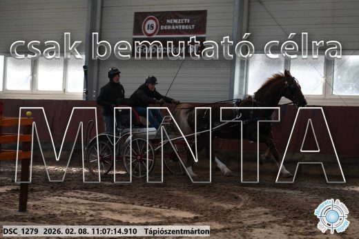 Mintakép 20260208-409