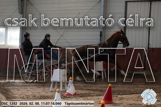 Mintakép 20260208-410