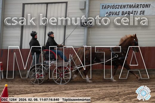 Mintakép 20260208-411