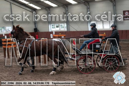 Mintakép 20260208-412