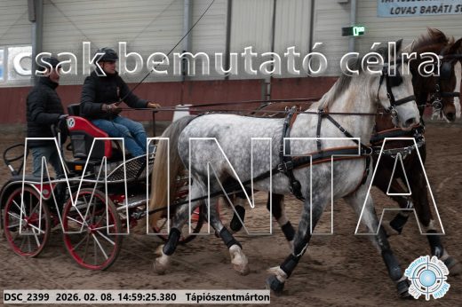 Mintakép 20260208-414