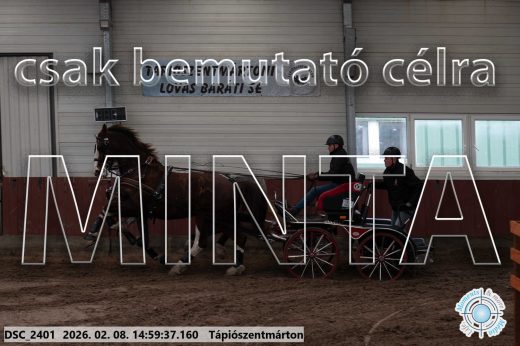 Mintakép 20260208-416