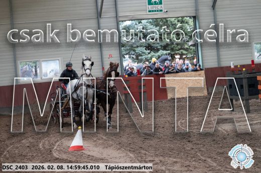 Mintakép 20260208-418