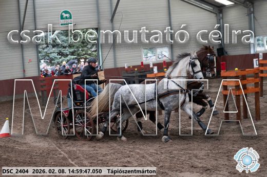 Mintakép 20260208-419