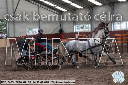 Mintakép 20260208-420