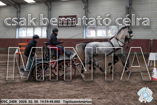 Mintakép 20260208-421