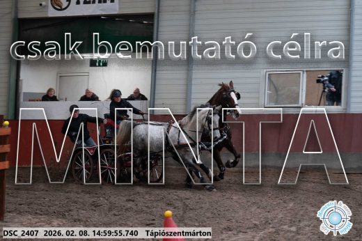 Mintakép 20260208-422