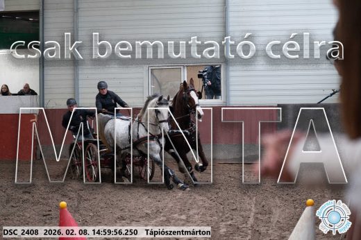 Mintakép 20260208-423