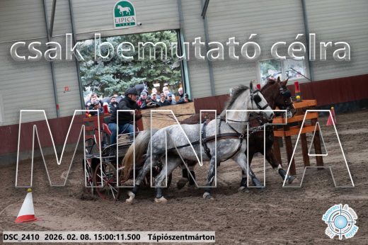 Mintakép 20260208-425