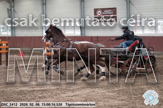 Mintakép 20260208-427