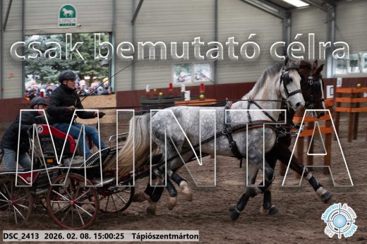 Mintakép 20260208-428