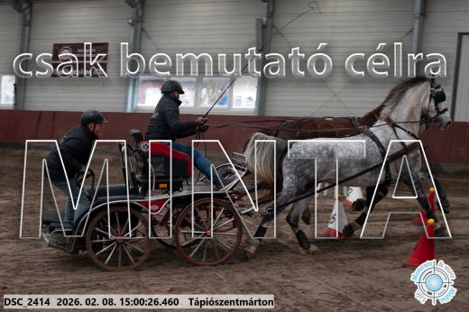 Mintakép 20260208-429
