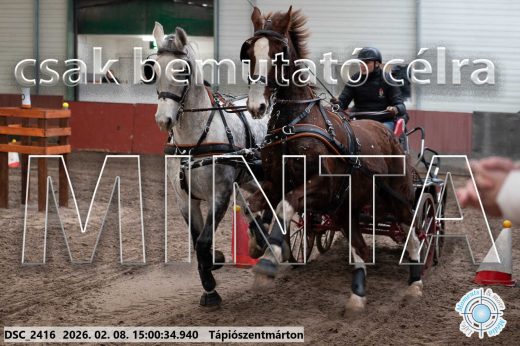 Mintakép 20260208-431