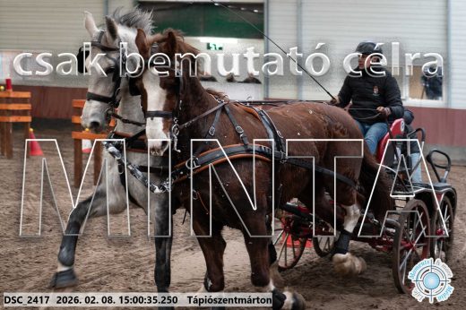 Mintakép 20260208-432