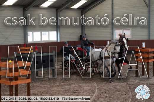 Mintakép 20260208-433