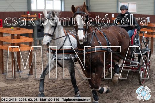 Mintakép 20260208-434