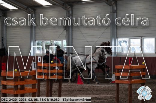 Mintakép 20260208-435