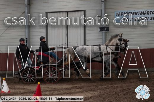 Mintakép 20260208-437