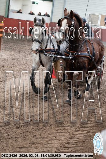 Mintakép 20260208-438