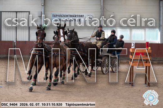 Mintakép 20260207-312