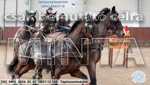 Mintakép 20260207-313