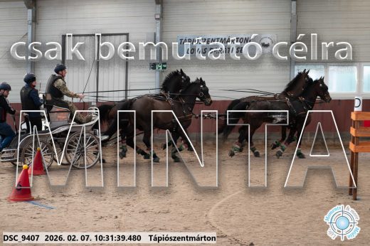 Mintakép 20260207-315