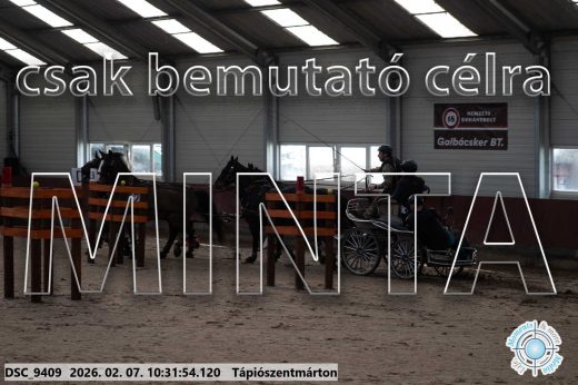Mintakép 20260207-317