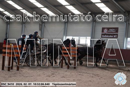 Mintakép 20260207-318