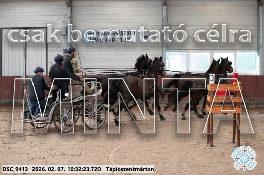 Mintakép 20260207-321