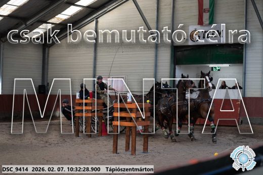 Mintakép 20260207-322