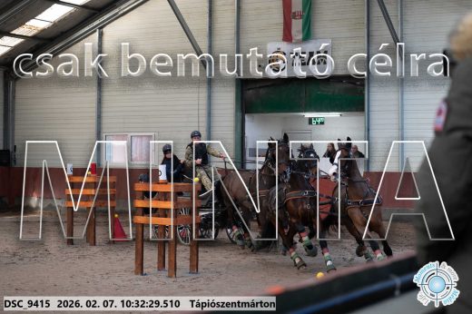 Mintakép 20260207-323